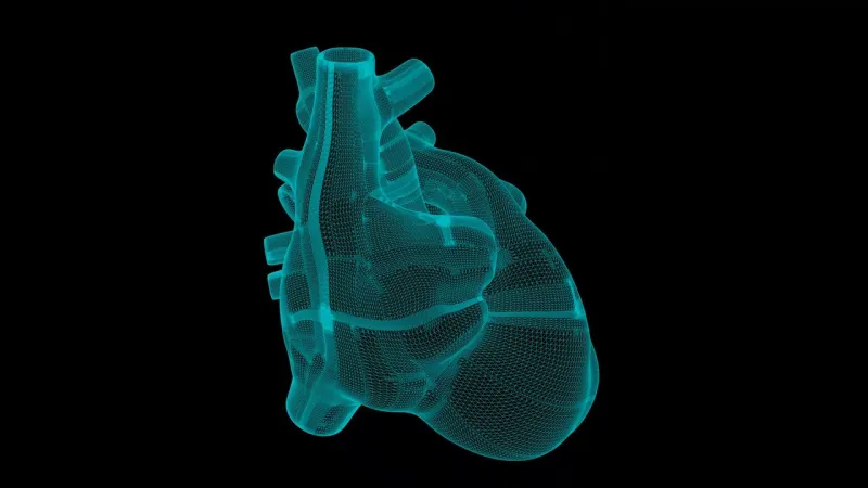 Modélisation numérique