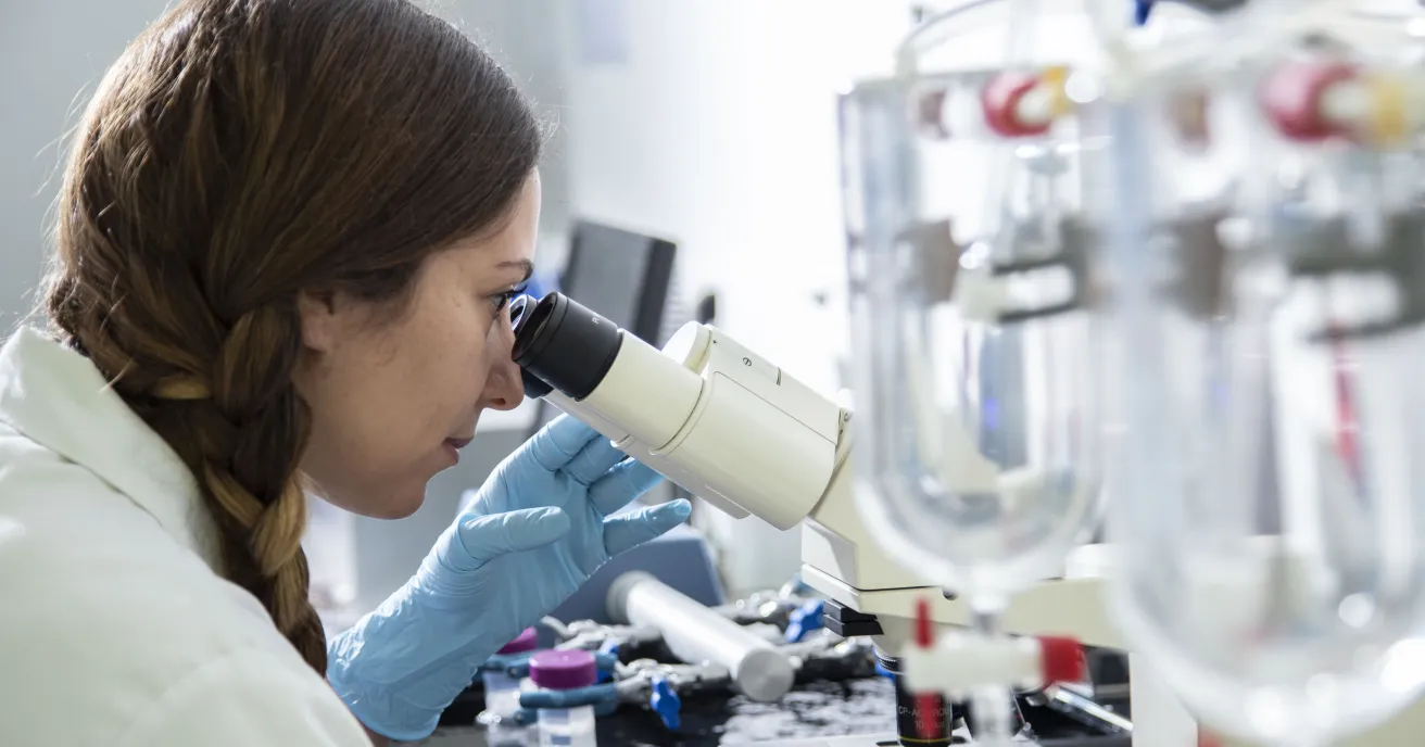 analyse sur modèles cellulaires